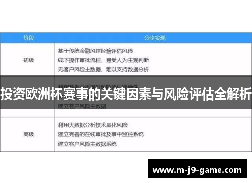 投资欧洲杯赛事的关键因素与风险评估全解析