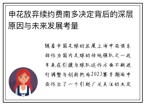 申花放弃续约费南多决定背后的深层原因与未来发展考量
