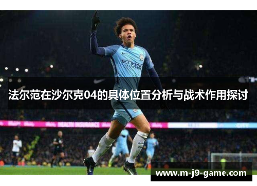 法尔范在沙尔克04的具体位置分析与战术作用探讨