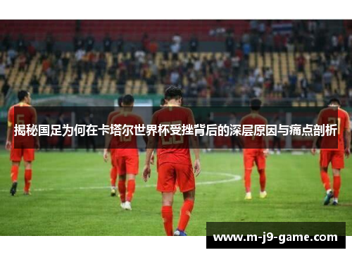 揭秘国足为何在卡塔尔世界杯受挫背后的深层原因与痛点剖析