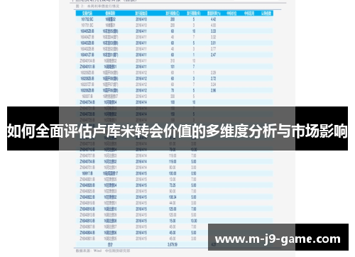 如何全面评估卢库米转会价值的多维度分析与市场影响