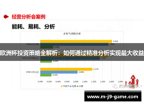 欧洲杯投资策略全解析：如何通过精准分析实现最大收益