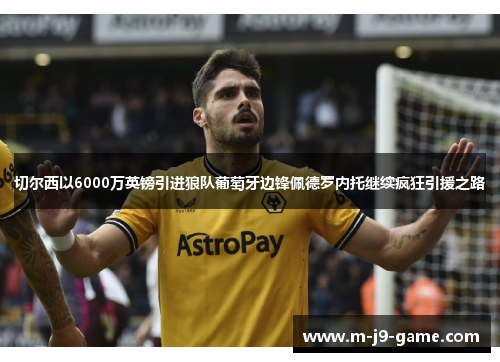 切尔西以6000万英镑引进狼队葡萄牙边锋佩德罗内托继续疯狂引援之路