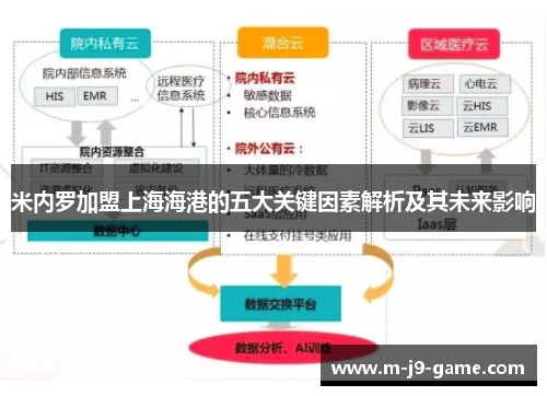 米内罗加盟上海海港的五大关键因素解析及其未来影响 米内罗加盟上海海港的五大关键因素解析及其未来影响