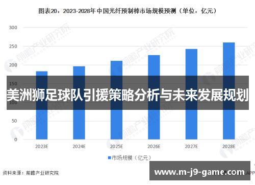 美洲狮足球队引援策略分析与未来发展规划