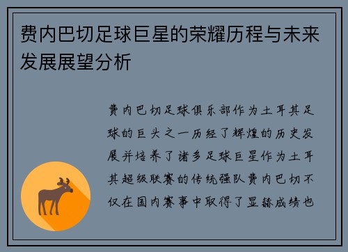 费内巴切足球巨星的荣耀历程与未来发展展望分析